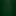 Coloured Ash Evergreen