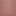 Coloured Ash Wild Rose