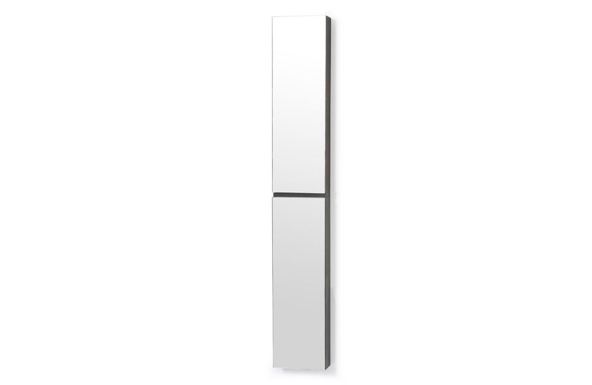 Wireworks Slim Bathroom Cabinet With, Tall Thin Mirrored Cabinet