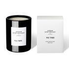 Signature Fig Tree Scented Glass Candle