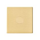 Single LED Dimmer Switch Satin Brass