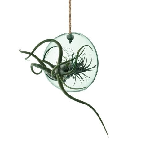 Canopy Recycled Glass Hanging Planter Medium