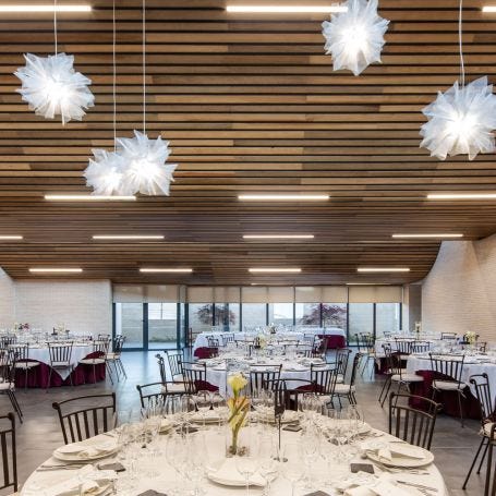 Fluo Pendant Lamp