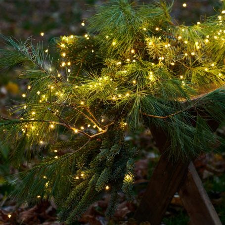 Knirke 350 LED Indoor/Outdoor Cluster String Lights Green Cable 270cm