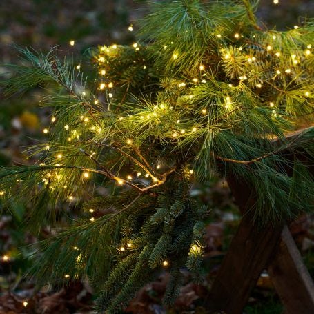 Knirke 160 LED Indoor/Outdoor String Lights Green Cable 16cm