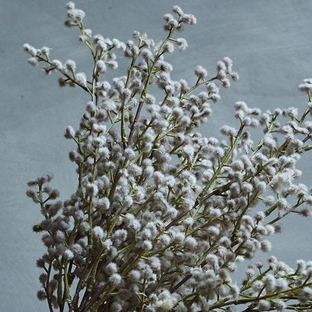 Mimosa Blush Faux Flower