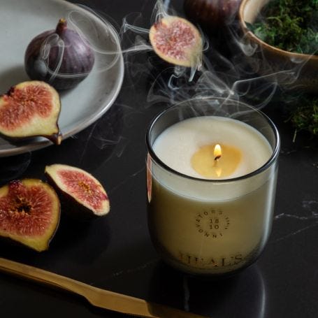 Petitgrain & Fig Dusk Candle