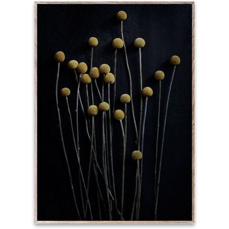 Shown with the Oak frame 30x40cm, sold separately