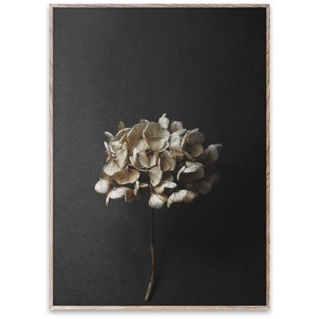 Shown with Oak frame 30x40cm, sold separately