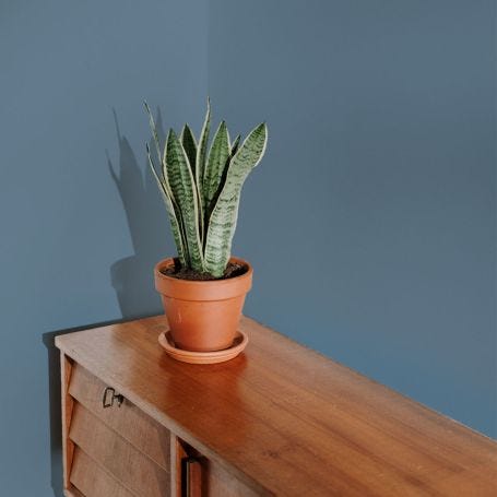 Below Deck Flat Matt Paint 