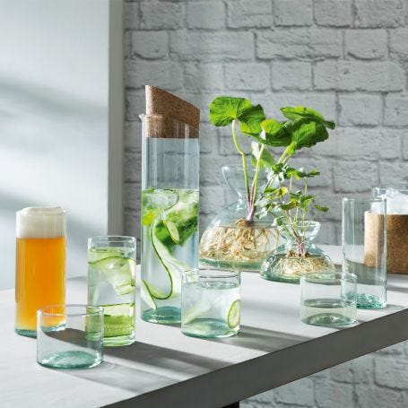 Canopy Pitcher