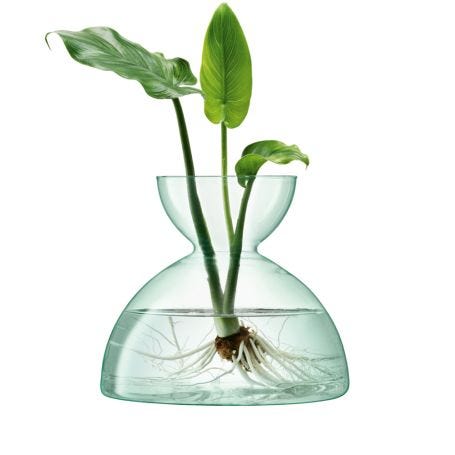 Canopy Vase