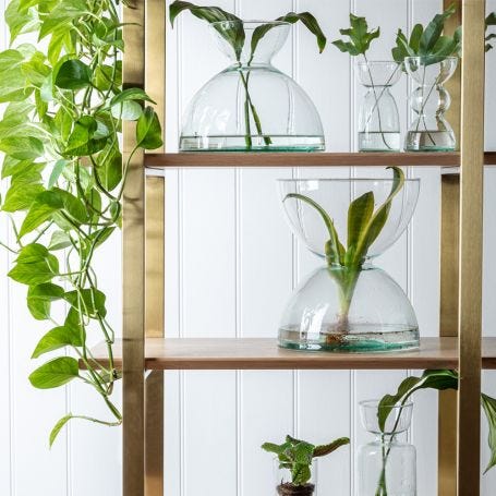 Canopy Vase