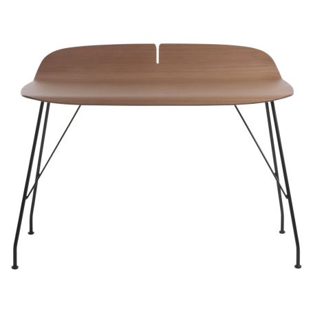 Earl of Wood Desk