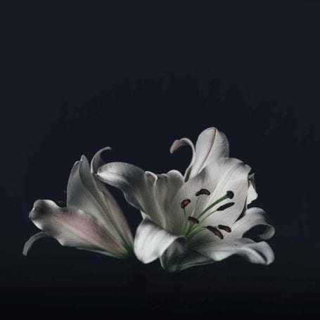 Manor Candle Black Lily