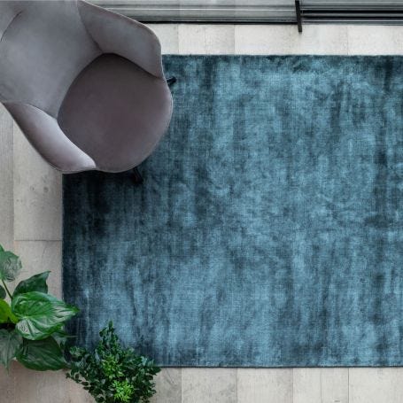 Lucens Rug Cactus