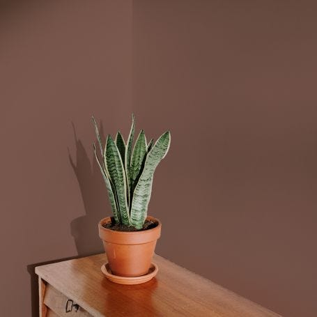 Old Street Flat Matt Paint