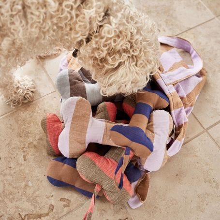 Ashi Dog Toy