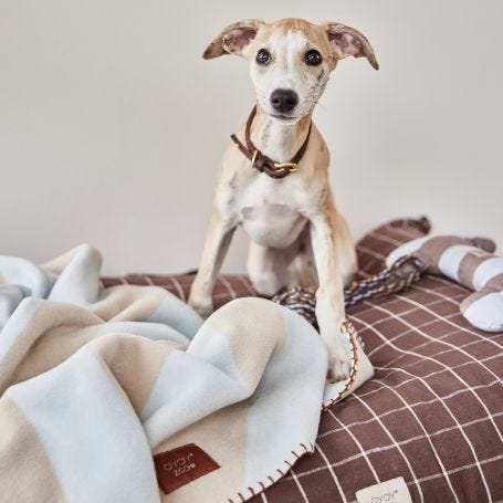 Kaya Dog Blanket