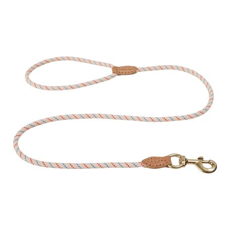 Perry Dog Leash