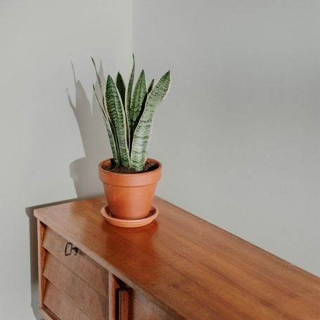 Rathbone Place Flat Matt Paint