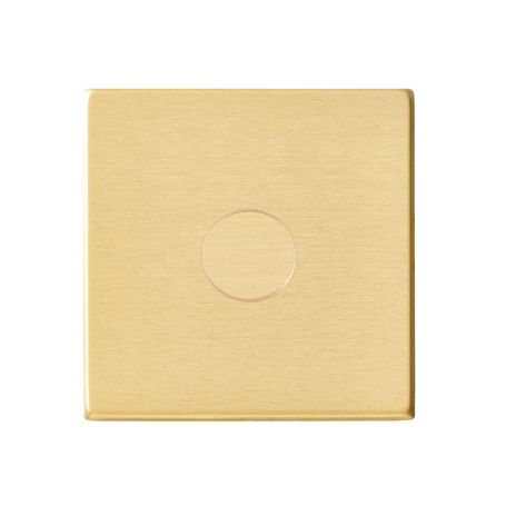 Single LED Dimmer Switch Satin Brass