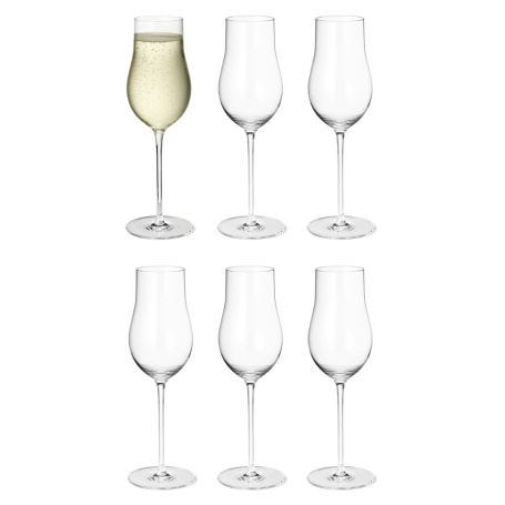 Sky Champagne Flute Set of 6