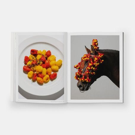The River Cafe Look Book: Recipes for Kids of all Ages (2022)