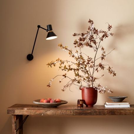 Type 80 Wall Light Long Arm