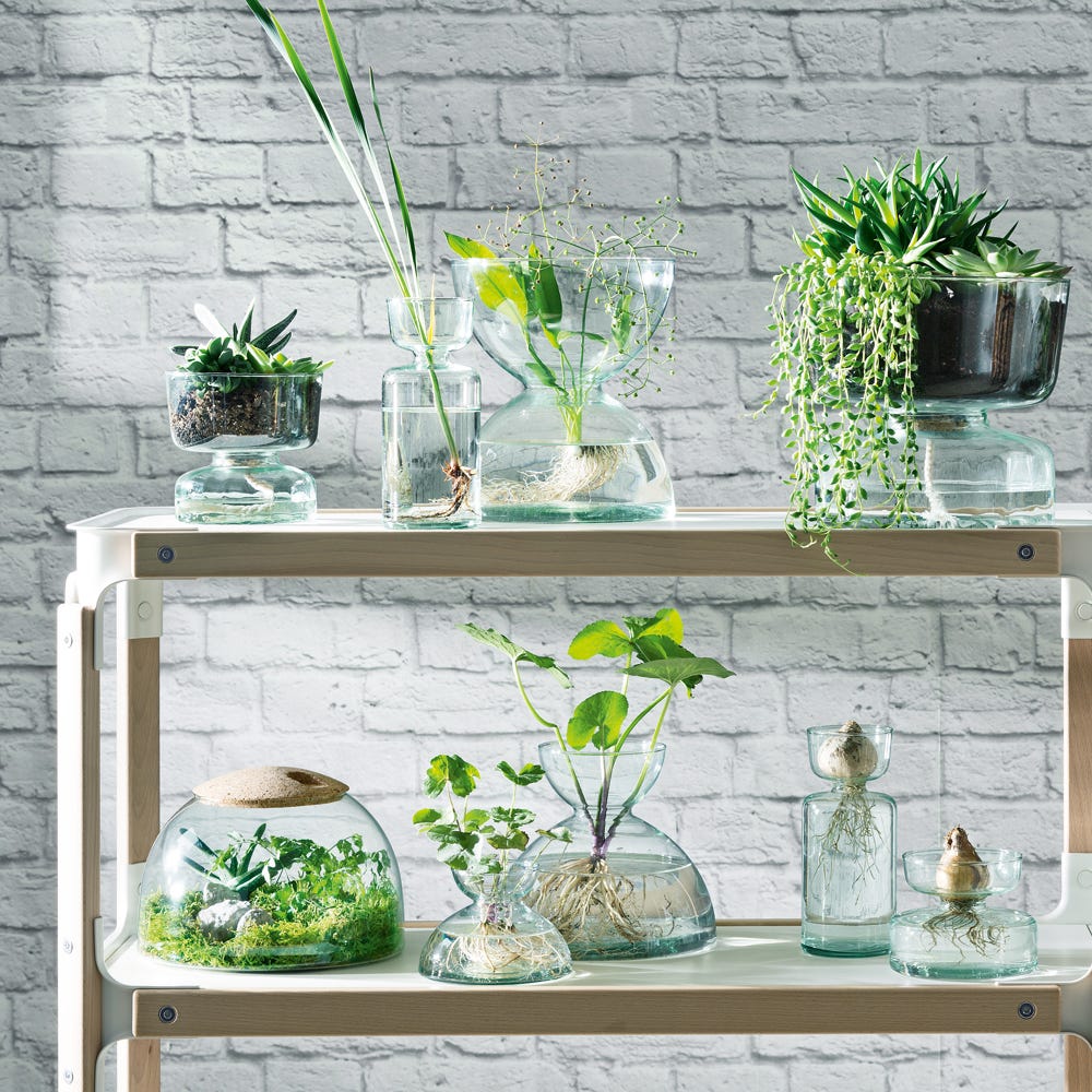 Canopy Recycled Glass Tumbler Set